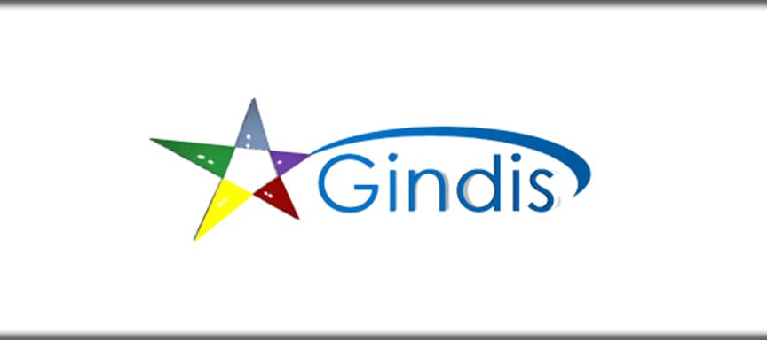 Gindis Games