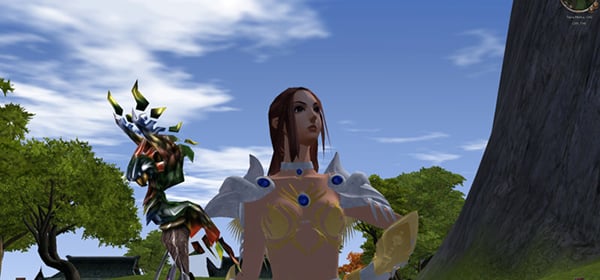 Metin2 Terra banner