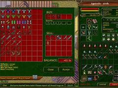 Margonem MMORPG screenshot 4
