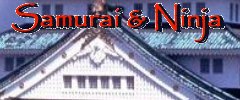 Samurai and Ninja MMORPG