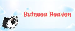Guineea Heaven