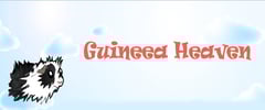 Guineea Heaven