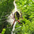 LeifZD avatar