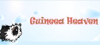 Guineea Heaven