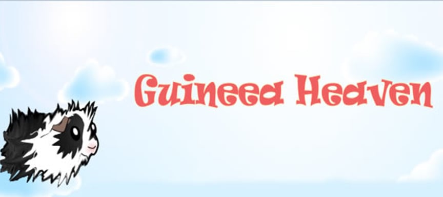 Guineea Heaven