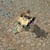 6478 avatar