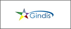 Gindis Games