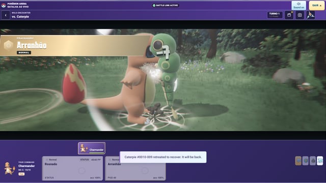 Pokemon Arena preview