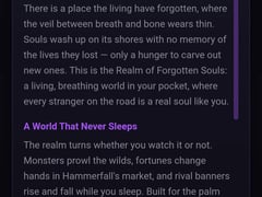 Realm of Forgotten Souls screenshot 5