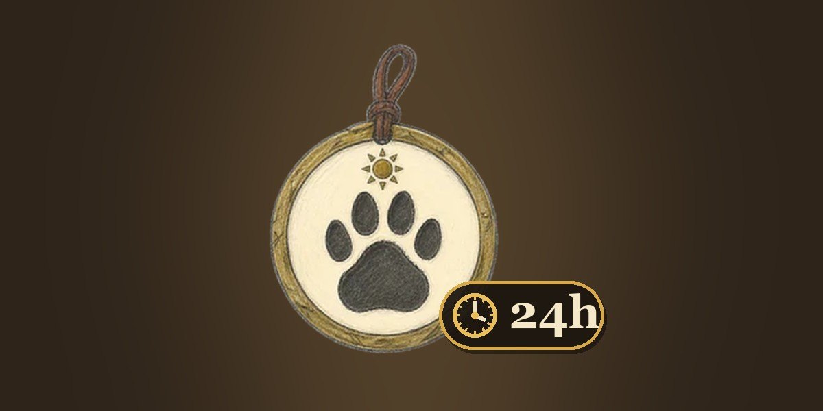 MagicDuel: 24h Companion Pass